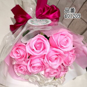 \[vt[ ԑ KN 15{ ԑ AW V{t[ \[vt[ Mtg