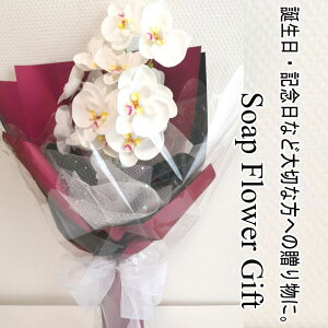 Ӓ \[vt[ Ӓ ԑMtg u[P AW