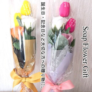 \[vt[ ԑ KN `[bv Mtg t[Mtg