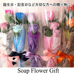 \[vt[2 KN2{ ԑ KN Mtg t[Mtg