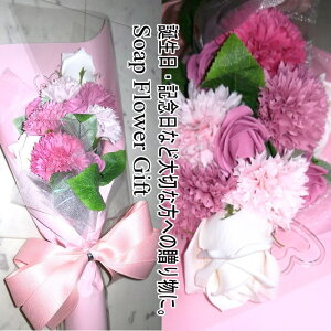 \[vt[ ԑ KN 10{ ԑ AW V{t[ \[vt[ Mtg