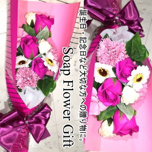 \[vt[ ԑ 10{^Cv KN ԑ AW V{t[ \[vt[ Mtg