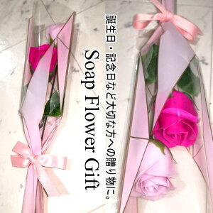 \[vt[2 ԑ KN 2{^Cv Mtg t[Mtg ̓