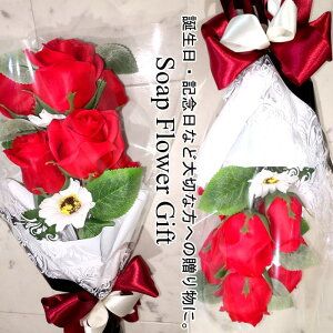 \[vt[ ԑ 10{^Cv KN ԑ AW V{t[ \[vt[ Mtg