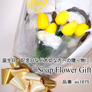 \[vt[ ԑ `[bv10{ ԑ AW V{t[ \[vt[ Mtg