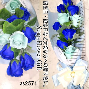 \[vt[ ԑ KN 10{ ԑ AW V{t[ \[vt[ Mtg