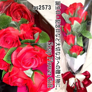 \[vt[ ԑ KN 10{ ԑ AW V{t[ \[vt[ Mtg