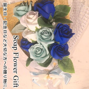 \[vt[ ԑ KN 10{ ԑ AW V{t[ \[vt[ Mtg