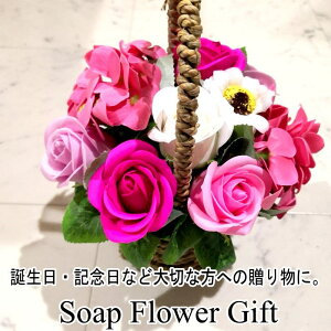 \[vt[ Ԃ 10{^Cv KN Mtgt[Mtg@t[oXPbg