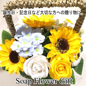 \[vt[ Ԃ 13{^Cv Ђ܂ KN Mtgt[Mtg@t[oXPbg