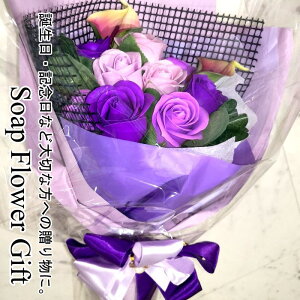 \[vt[ ԑ KN 12{ ԑ AW V{t[ \[vt[ Mtg