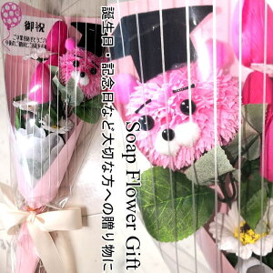 Ɖ \[vt[ ԑ KN 7{ ԑ AW V{t[ \[vt[ Mtg