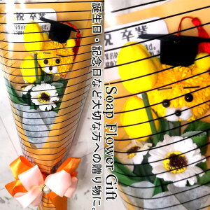  ԑ \[vt[ KN ԑ 7{ AW V{t[ \[vt[ Mtg