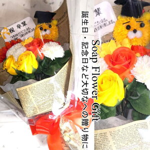  ԑ \[vt[ KN11{ ԑ AW V{t[ \[vt[ Mtg