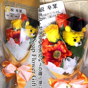  ԑ \[vt[ KN ԑ 6{ AW V{t[ \[vt[ Mtg