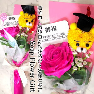  ԑ \[vt[ KN ԑ 10{ AW V{t[ \[vt[ Mtg