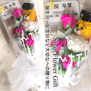  ԑ \[vt[ KN6{ ԑ AW V{t[ \[vt[ Mtg