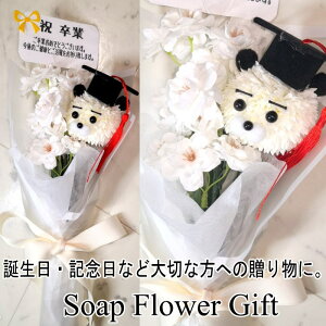  ԑ \[vt[  ԑ AW V{t[ \[vt[ Mtg