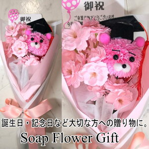  ԑ \[vt[  ԑ AW V{t[ \[vt[ Mtg