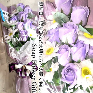 \[vt[ ԑ KN 15{ ԑ AW V{t[ \[vt[ Mtg