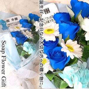 \[vt[ ԑ KN 10{ ԑ AW V{t[ \[vt[ Mtg