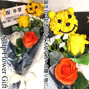 Ɖ ԑ \[vt[ KN 5{ ԑ AW V{t[ \[vt[ Mtg