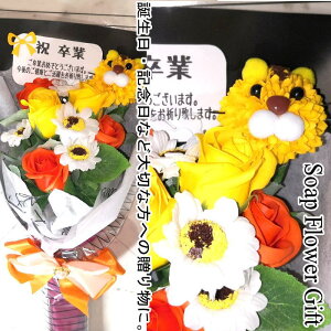 \[vt[ ԑ KN10{ ԑ AW V{t[ \[vt[ Mtg