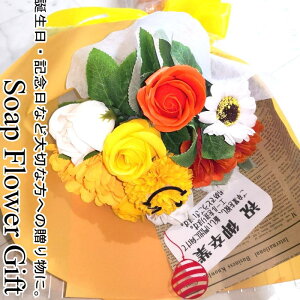 \[vt[ ԑ KN 10{ ԑ AW V{t[ \[vt[ Mtg