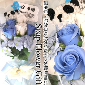 \[vt[ ԑ KN 10{ ԑ AW V{t[ \[vt[ Mtg