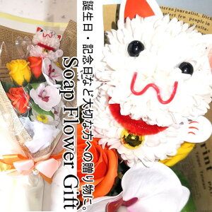 \[vt[ ԑ KN 10{ ԑ AW V{t[ \[vt[ Mtg