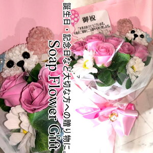  ԑ \[vt[ KN15{ ԑ AW V{t[ \[vt[ Mtg