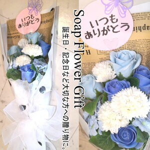 ̓  \[vt[ ԑ KN 10{ ԑ AW V{t[ \[vt[ Mtg