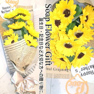 ̓ ̓ \[vt[ ԑ Ђ܂ 10{ ԑ AW V{t[ \[vt[ Mtg