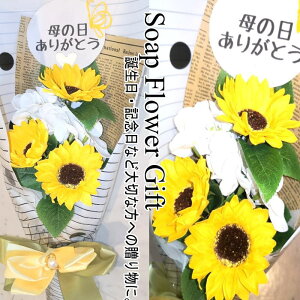 ̓ ̓ \[vt[ ԑ Ђ܂ 5{ ԑ AW V{t[ \[vt[ Mtg