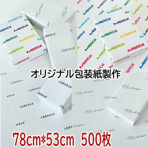  IWi y78cm*53cm 500 z IWi  bsO Mtg Ɩp bsOpi