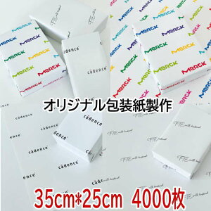  IWi yM4000 z IWi  bsO Mtg Ɩp bsOpi