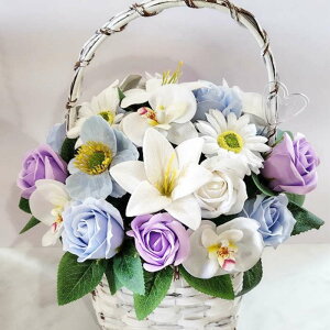 ~ @~  KN Ӓ AW  oXPbg Ԃ