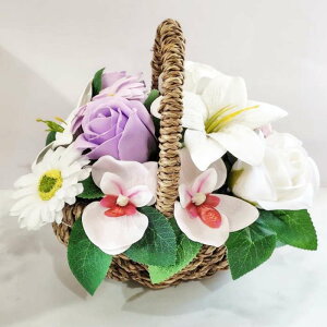 ~ @~  KN Ӓ AW  oXPbg Ԃ