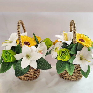 ~   SET ~  KN q} AW  oXPbg Ԃ