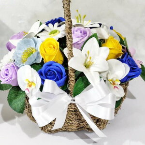 ~  ~  KN Ӓ AW  oXPbg Ԃ