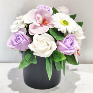 Ԃ t[oXPbg ~  ~  KN Ӓ AW  oXPbg Ԃ