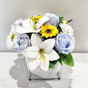 Ԃ t[oXPbg ~  ~  KN Ӓ AW  oXPbg Ԃ