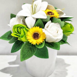 Ԃ t[oXPbg ~  ~  KN Ӓ AW  oXPbg Ԃ