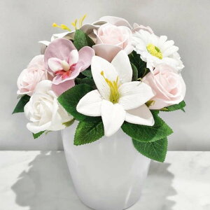 Ԃ t[oXPbg ~  ~  KN Ӓ AW  oXPbg Ԃ