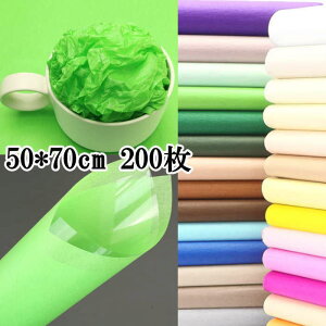  t50cm*70cm 200 ԕ  bsO Mtg Ɩp bsOpi