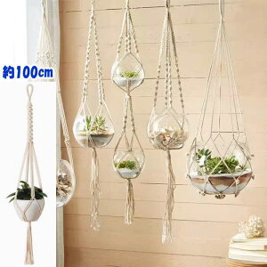 nMO v^[ Aؔ ݂邷nK[ ϗtA  [v V| CeA 썑 CG