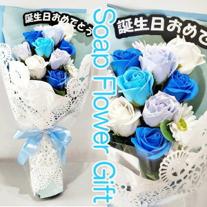 \[vt[ ԑ KN 15{ ʐ^t[ ԑ AW V{t[ \[vt[ Mtg