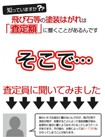 プロテクションフィルム-査定官