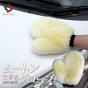 [20%OFFN[|] ԗp [gO[u ~g V[v{A {[Ղ (r100gp) X|W ԃObY ԃO[u O[u