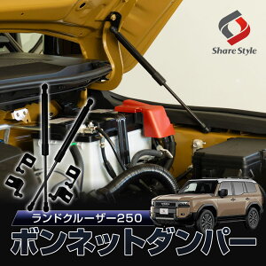 [20%OFFN[|] N 250 {lbg_p[ ꎮ ubN ȒP {gI d{lbg΍ eiXUP GWt[h JX^ p[c hN[U[250 g^